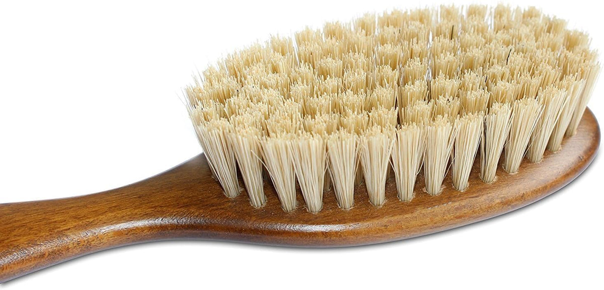 Bristle Cat Hair Brush Deshedding Tool