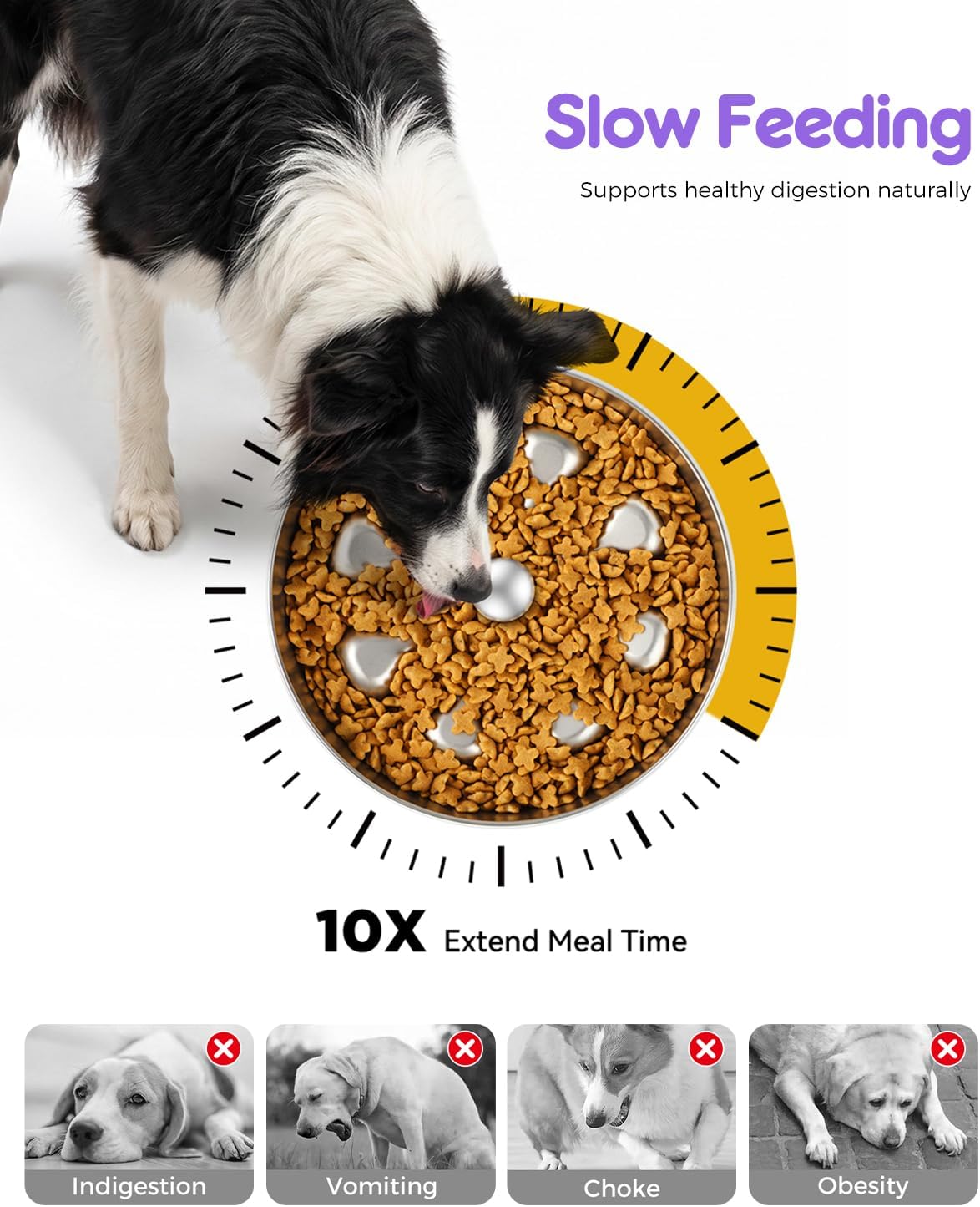Oiwliur Stainless Steel Dog Bowl