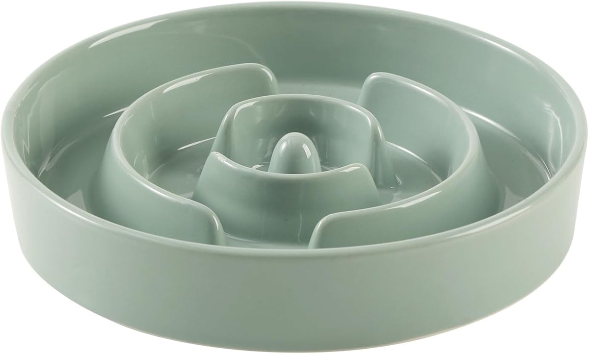 Havniva Ceramic Slow Feeder Dog Bowl