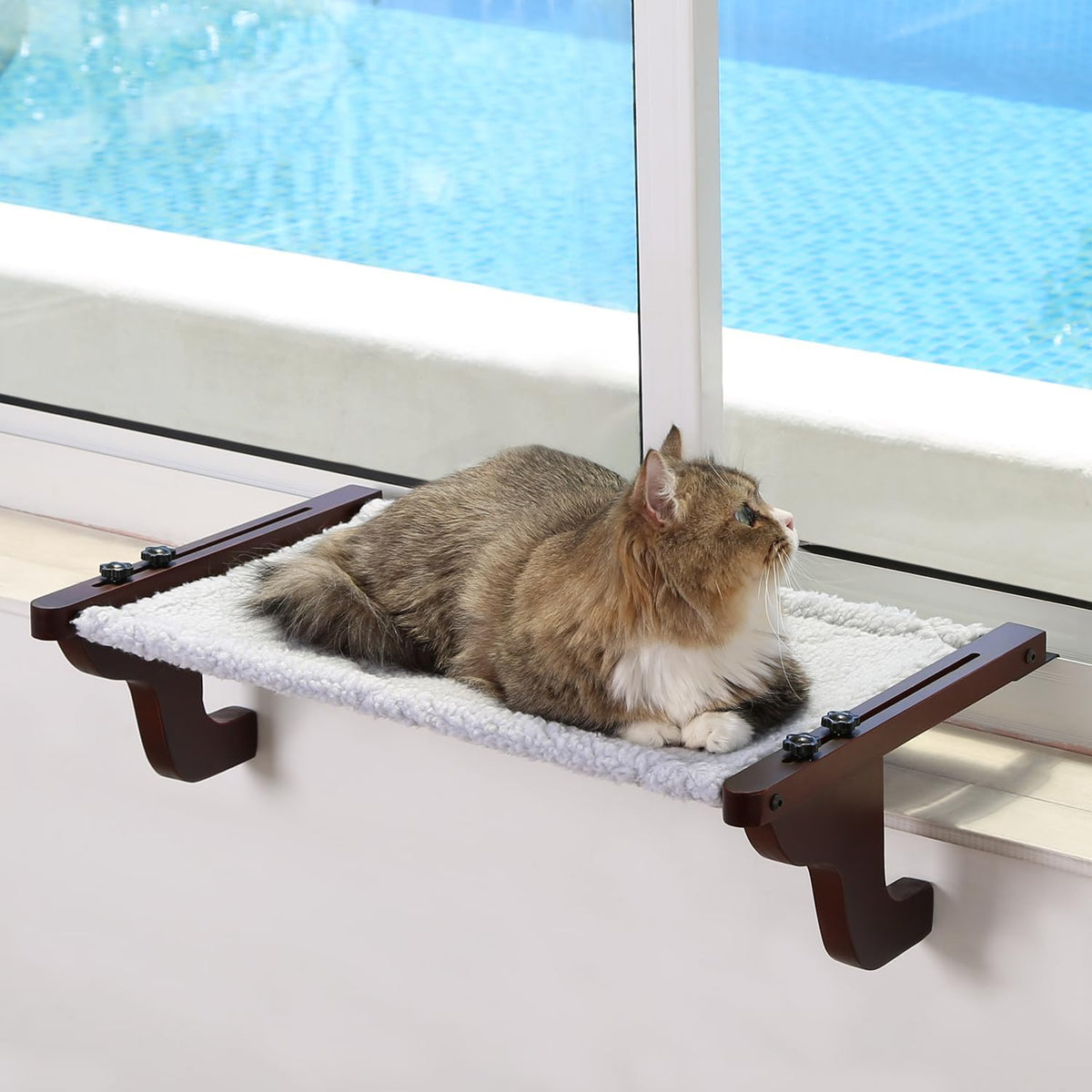 Zakkart Medium Cat Windowsill Perch