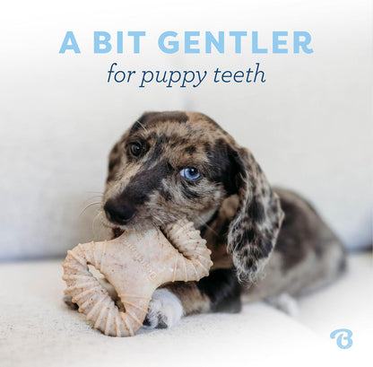 Benebone Puppy Dental Chew Toys, 2 Pack