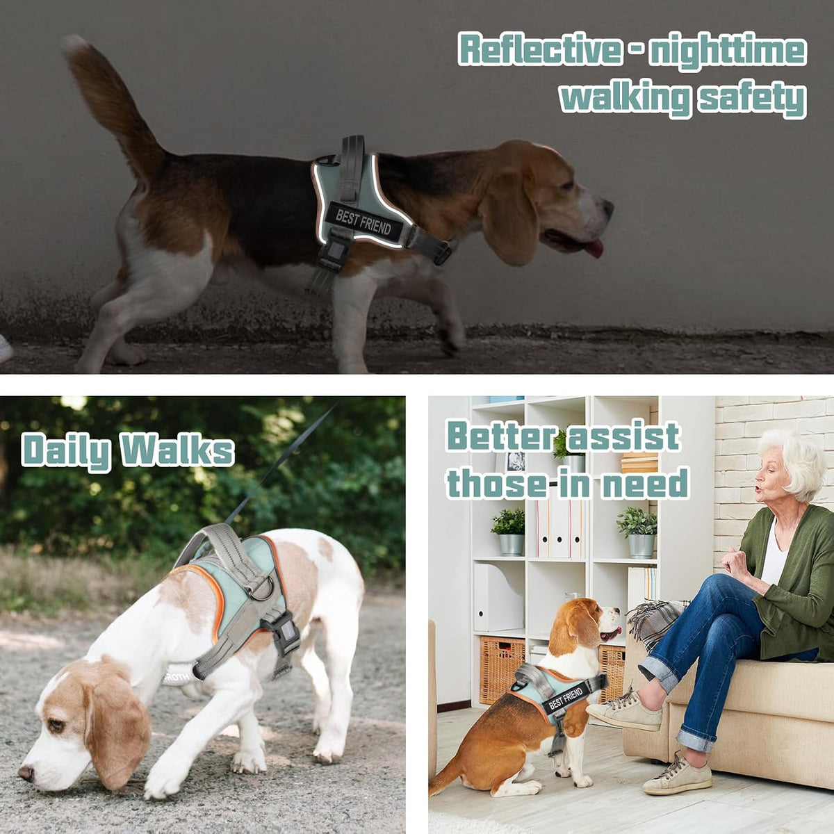 AUROTH Dog Harness and Leash Set