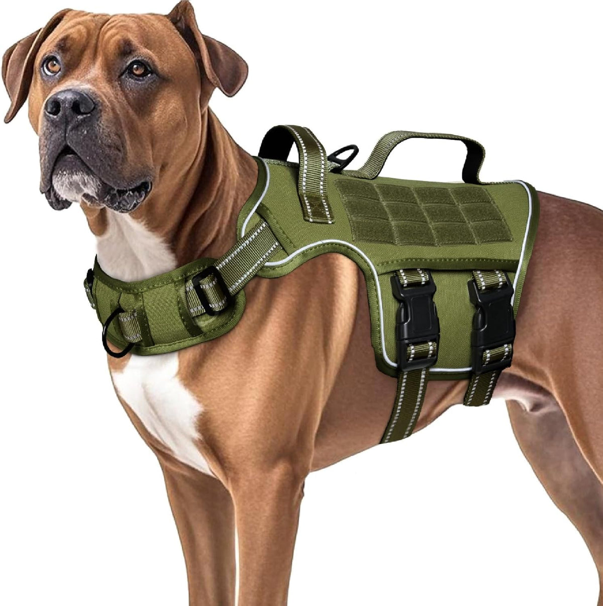 RunFido Tactical Harness for Large Dogs