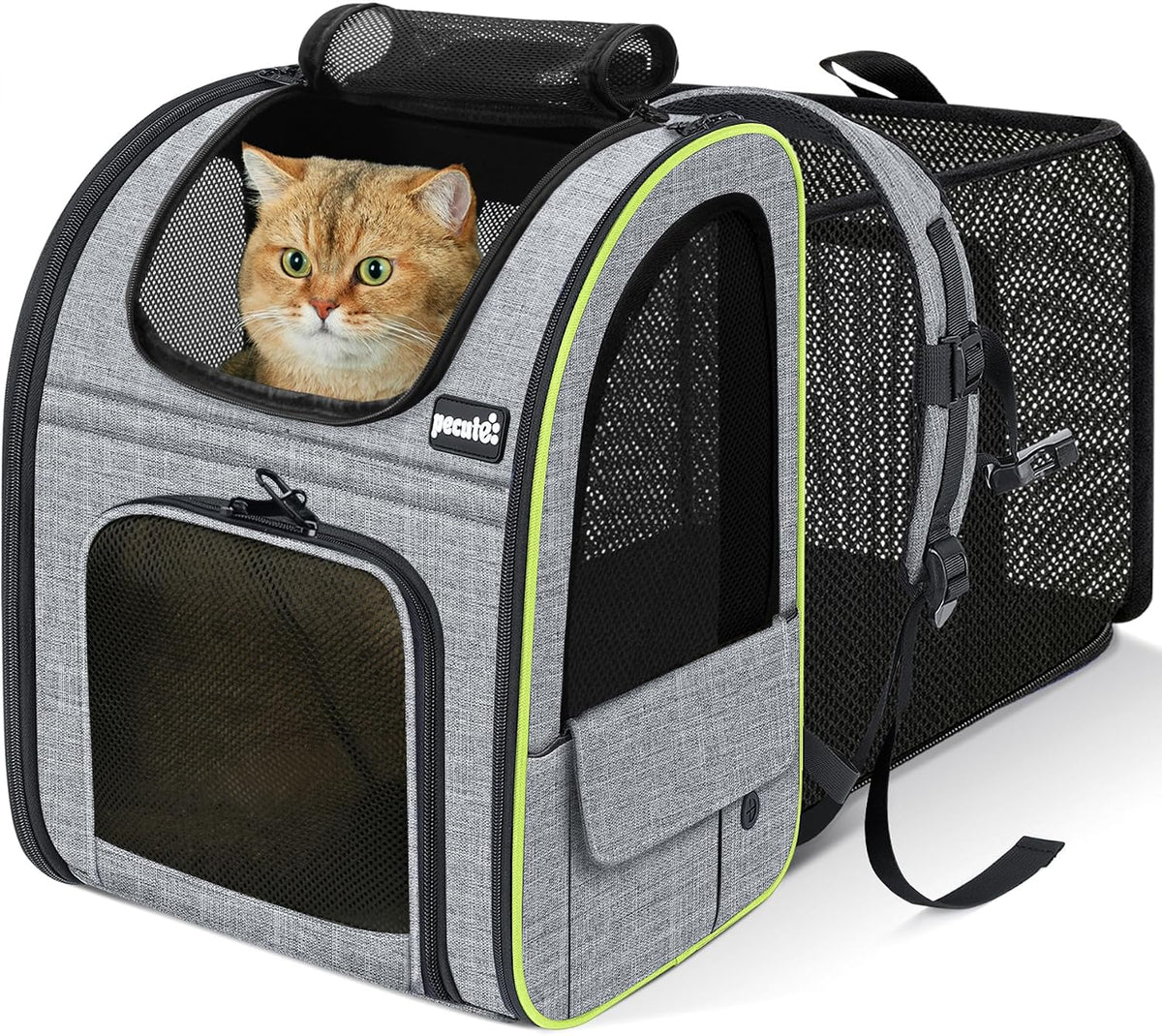 Pecute Grey Expandable Pet Carrier Backpack